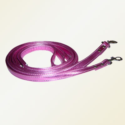 dog lead