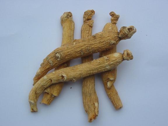 Ginseng Product