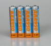 houseappliance battery