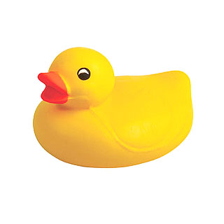 duck mold