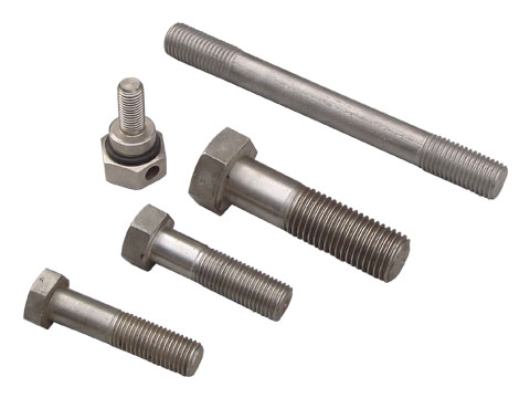 Stainless Steel Series Bolt