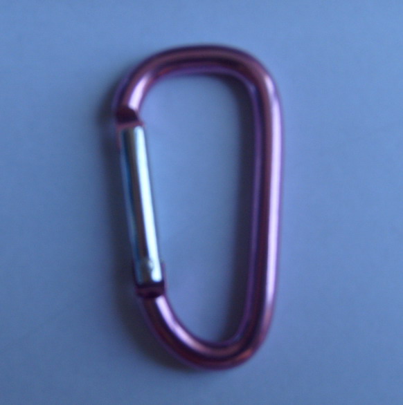 sap carabiner