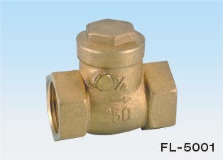 check valve