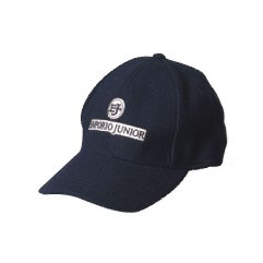 Promotional hat