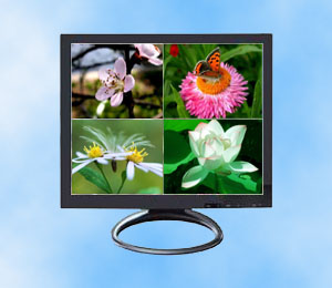 flat panel lcd monitor