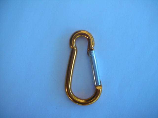 Carabiner hooks