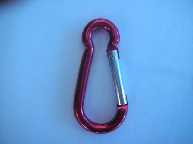 Carabiner hooks