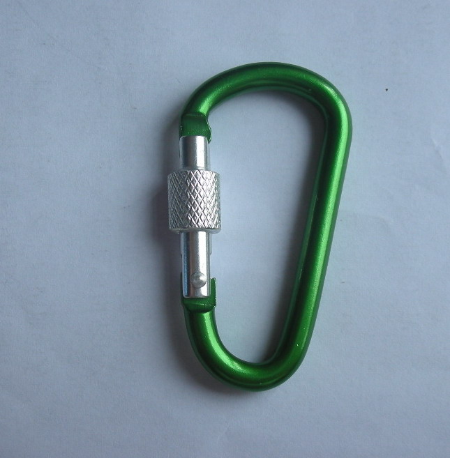 Carabiner hooks