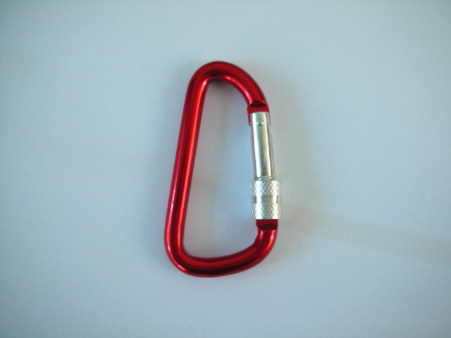 Carabiner hooks