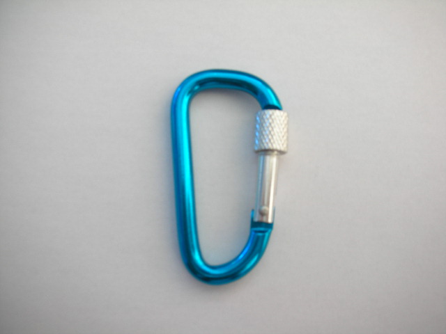 Carabiner hooks