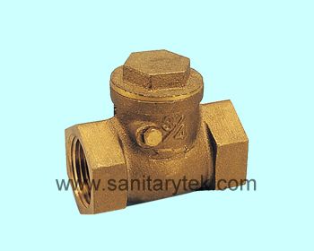 Swing check valve   V24-005