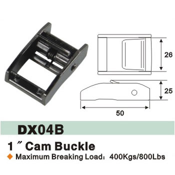 Cam Buckle