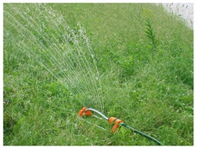 Garden sprinkler