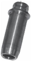 Valve guides