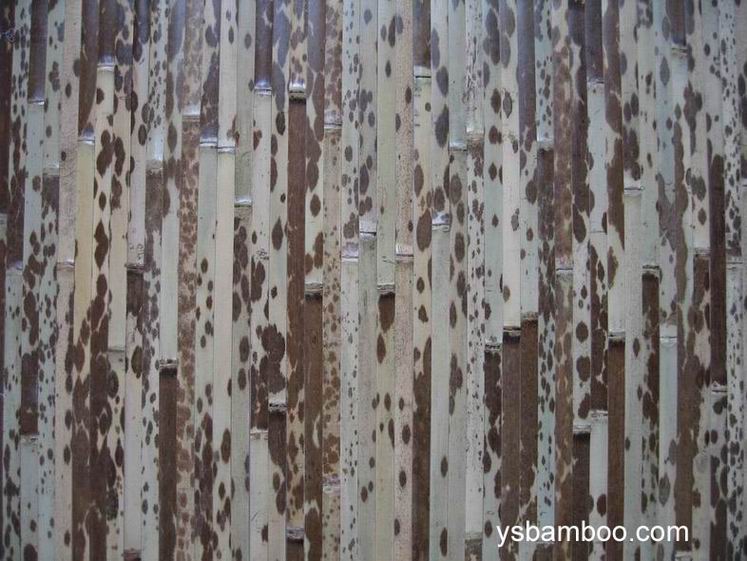 Natural Bamboo Wallpaper Design