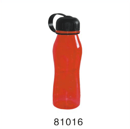 sport bottle 500ml