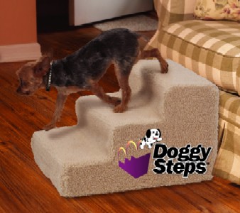 E-Z Fold step stool