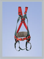 full body harness