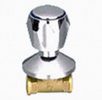 Brass gate valve