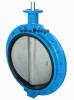 butterfly valve