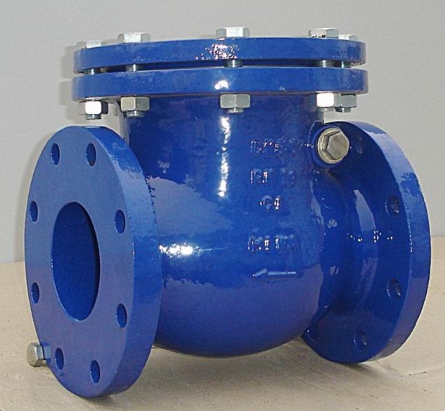 check valve