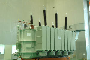 Oil-Immersed Transformer