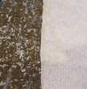 Non-Woven Fabric with Green Tea Powder