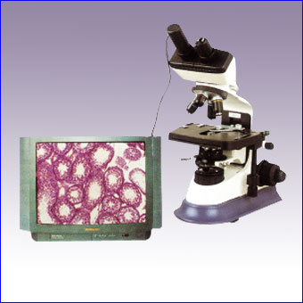 Microscopy Camera Eyepiece