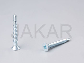 SS drilling screw