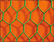 Hexagonal Wire Netting