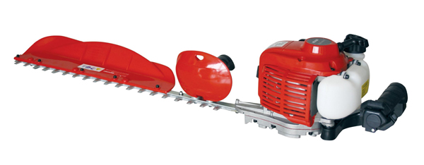 gasoline hedge timmer