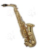 tenor saxophone