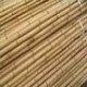 bamboo poles, canes,stakes