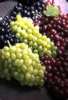 white grape & red grape juice concentrate