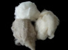 Cashmere Fibre