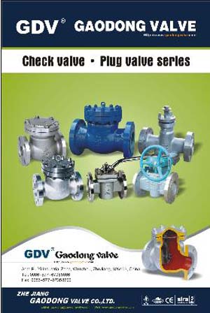 Check Valve