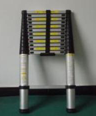 Telescopic Ladder