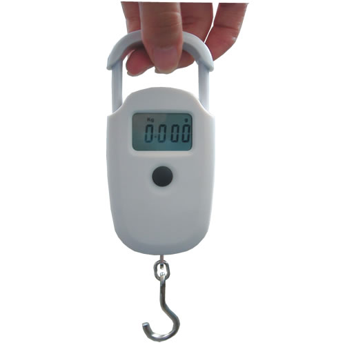 LT-HG2 hanging scale