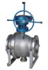 Ball Valves (WZIPIE)