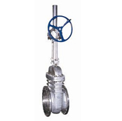 gate valve