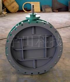 Butterfly Valve