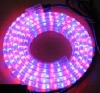 LED Strip Light