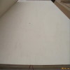 poplar plywood