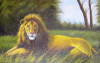 Animal Oil Painting