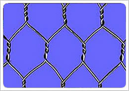 hexagonal wire mesh