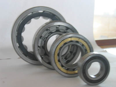 Roller Bearing