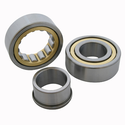 Double-Row Cylindrical Roller Bearing