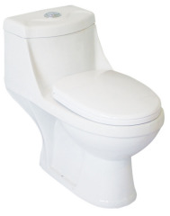 washdown one-piece toilet