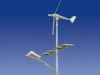 Wind-Solar LED Street Lamp (AD-060-120-WSSL-II-B)
