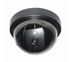 ENSTER color Dome camera